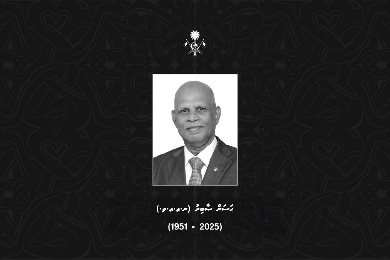 ޞާބިރުގެ ހަނދާނުގައި މަޖިލީހުގައި ސުކޫތެއް