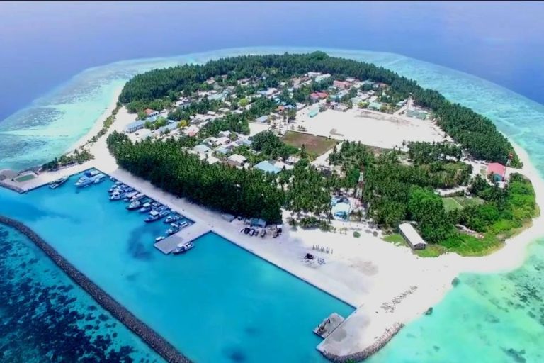 ބަނޑިދޫން ދިރިއުޅުމަށް ބަންޑާރަ ގޯއްޗަށް އެދި ހުށަހެޅުމަށް ހުޅުވާލައިފި