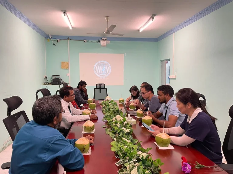 ކައުންސިލް ޢިމާރާތުގެ ފިޒިބިލިޓީ ހެދުމުގެ މަސައްކަތް ފަށައިފި