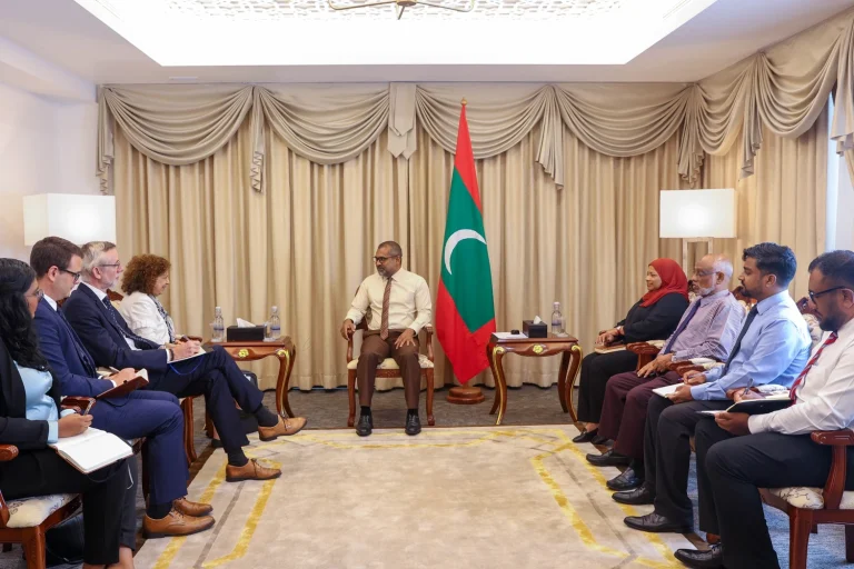 ޑިމޮކްރަސީ ހަރުދަނާކުރުމަށް އީޔޫ އާއި ގުޅިގެން މަސައްކަތް ކުރުމަށް މަޝްވަރާކޮށްފި