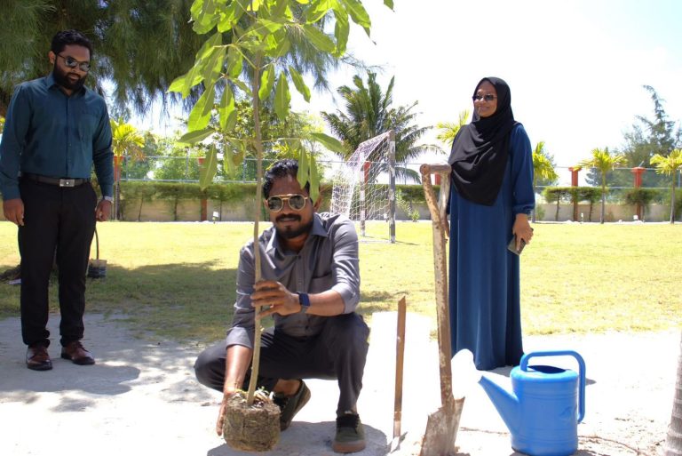 5 މިލިއަން ގަސް މަޝްރޫޢު: އެމްއެންޔޫ ތިނަދޫ ކެމްޕަހުގައި ގަސް އިންދައިފި