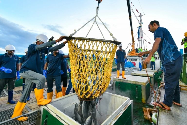 ދެ ހަފްތާތެރޭ މަސްވެރިންނަށް 13 މިލިއަނަށްވުރެ ގިނަ ރުފިޔާ ދޫކޮށްފި