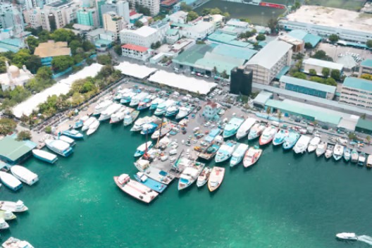 މި މަހުގެ ފުރަތަމަ ހަފުތާގައި އެމްޕީއެލް އިން 1،306 ކޮންޓެއިނަރުގެ މުދާ ކްލިއަރކޮށްފި