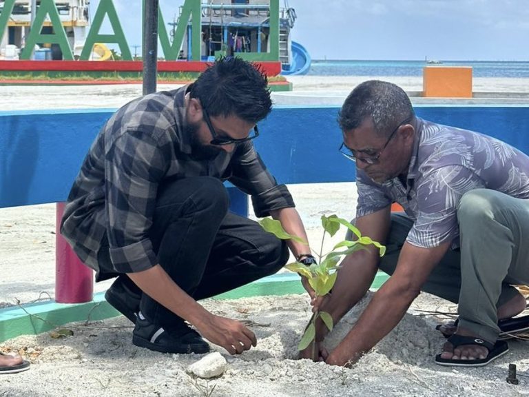 ފަސް މިލިއަން ގަސް މަޝްރޫޢު: ލ. މާވަށުގައި ގަސް އިންދައިފި