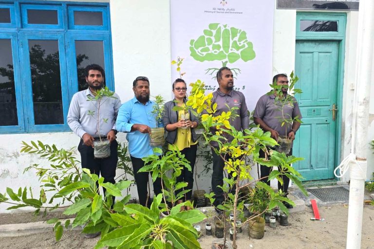 5 މިލިއަން ގަސް މަޝްރޫޢު: ރަތަފަންދޫގައި ގަސް އިންދުމުގެ ހަރަކާތެއް ހިންގައިފި