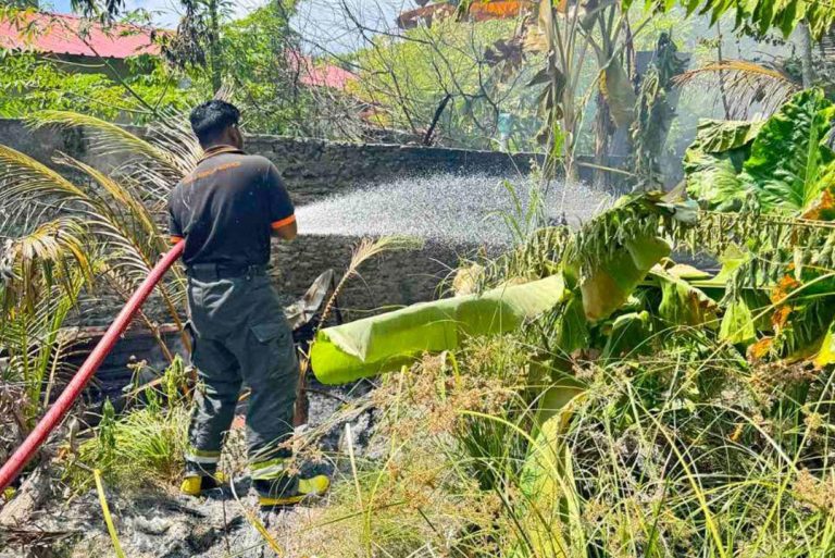 މީދޫ ވަލުތެރޭގައި އަލިފާން ރޯވެގެން ސިފައިން ހަރަކާތްތެރިވެއްޖެ