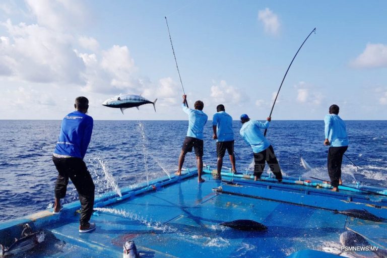 މަސްވެރިންގެ ދުވަސް ރަސްމީކޮށް ފާހަގަކުރުމަށް ބޭނުންވާ ރަށްތަކަށް އެ ފުރުސަތު ހުޅުވާލައިފި