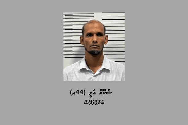 ގަވާއިދާ ހިލާފަށް ސިނގިރޭޓުގެ ވިޔަފާރިކުރަމުންދިޔަ ބިދޭސީއަކު ހައްޔަރުކޮށްފި