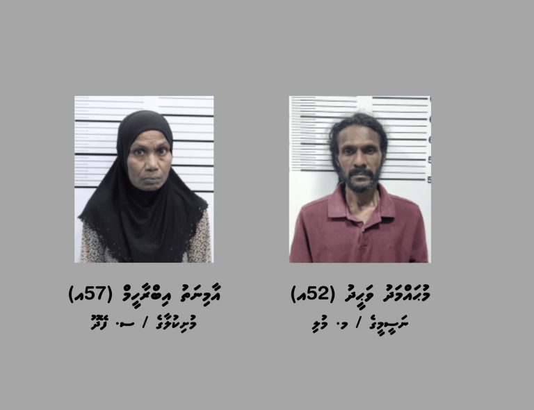 މަސްތުވާތަކެތީގެ ވިޔަފާރި މައްސަލައެއްގައި ހުޅުމާލެއިން ދެމީހުން ހައްޔަރުކޮށްފި