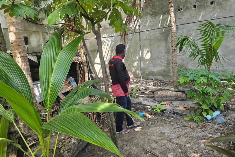 ބޮޑުފޮޅުދޫގައި މަދިރި ކޮންޓްރޯލް ކުރުމުގެ ޕްރޮގްރާމެއް ހިންގައިފި