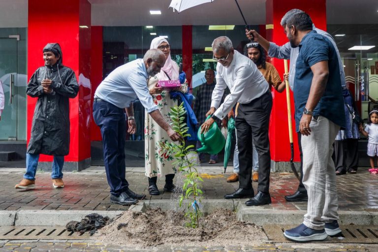 ވިލިމާލޭގައި 500 ގަސް އިންދުމުގެ ހަރަކާތެއް ފަށައިފި