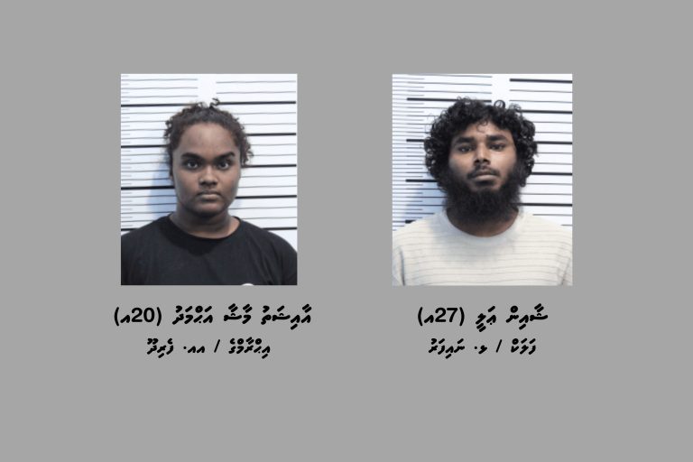 ތިން ކިލޯއަށްވުރެ ގިނަ މަސްތުވާތަކެއްޗާއެކު ދެ މީހަކު ހައްޔަރުކޮށްފި