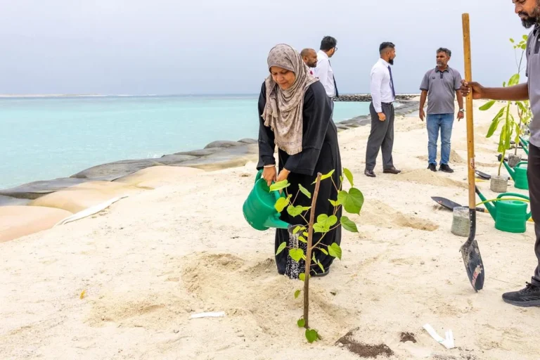 ގުޅީގައި 2000 ގަސް އިންދުމުގެ މަޝްރޫޢެއް ފަށައިފި