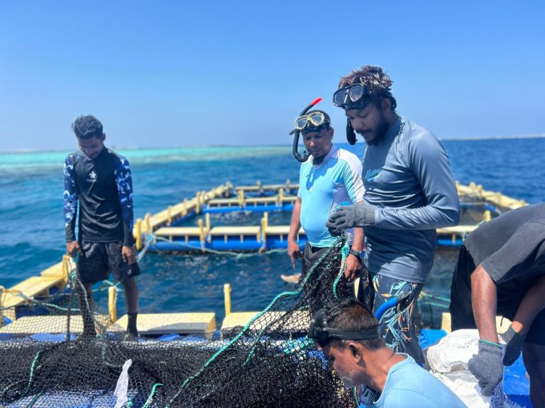 ދެވަނަ ބޭސިކް މެރިކަލްޗާރ ކޯސް ފަށައިފި