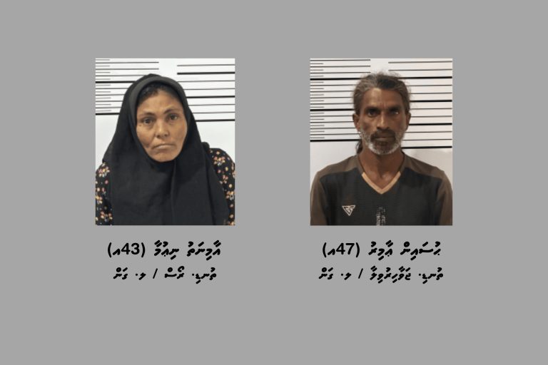 ޑްރަގާއެކު ލ. ގަމުން ދެ މީހަކު ހައްޔަރުކޮށްފި