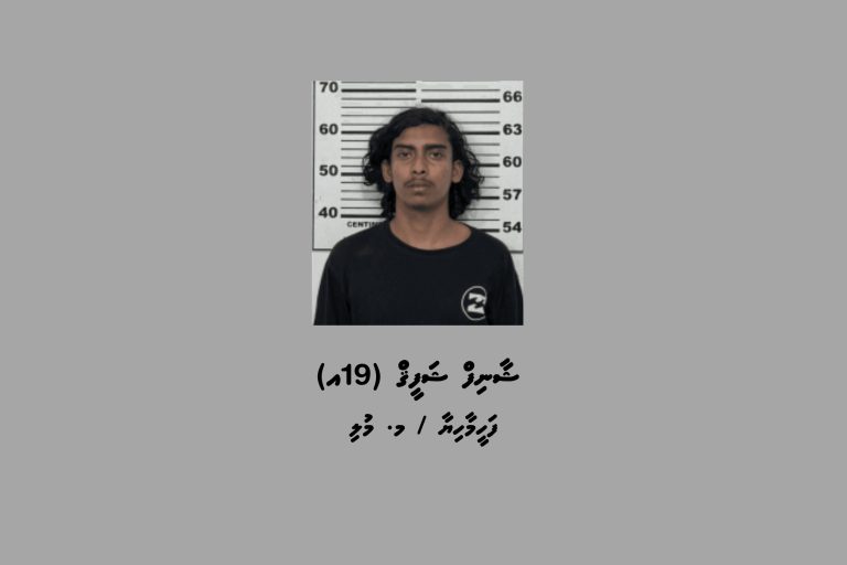 ވޭވަށަށް މަސްތުވާތަކެތި އެތެރެކުރަން އުޅުނު މީހަކު ހައްޔަރުކޮށްފި