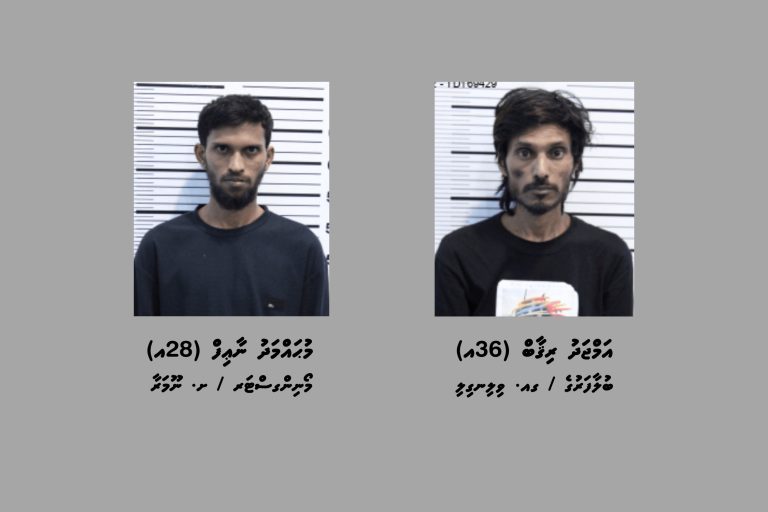 ގިނަ އަދަދެއްގެ މަސްތުވާތަކެއްޗާއެކު މާލެއިން ދެ މީހަކު ހައްޔަރުކޮށްފި