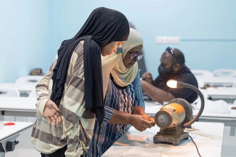 ނާށި ބޭނުންކޮށްގެން އަތްތެރި މަސައްކަތްތައް ދަސްކޮށްދޭ ވޯކްޝޮޕެއް ފަށައިފި