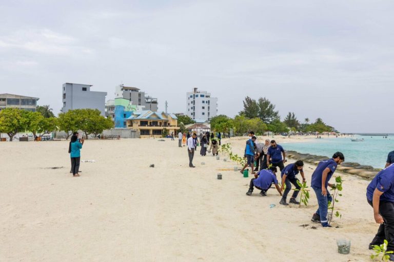 "ބިންވެރިޔާ" ޚާއްޞަ ސްކީމަށް 3 ވަނަ ކެޓަގަރީއެއް އިތުރުކޮށް، އަންނަ މަހު ހުޅުވާލަނީ