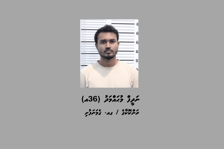 ސްކޭމް ނެޓްވޯކްތަކުން ހޯދާ ފައިސާ އެއްކުރުމުގައި ތަކުރާރުކޮށް ބައިވެރިވާ މީހަކު ހައްޔަރުކޮށްފި