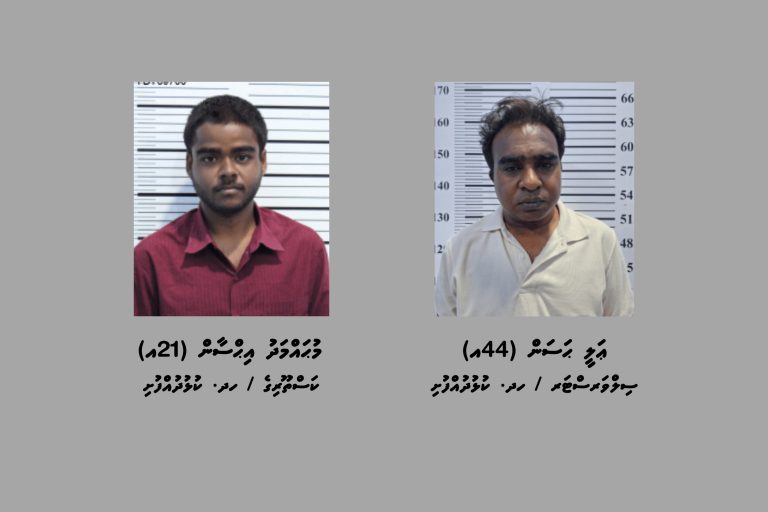 ކުޑަ ކުއްޖަކަށް ޖިންސީ ގޯނާކުރި ކަމުގެ ތުހުމަތުގައި ދެމީހުން ހައްޔަރުކޮށްފި