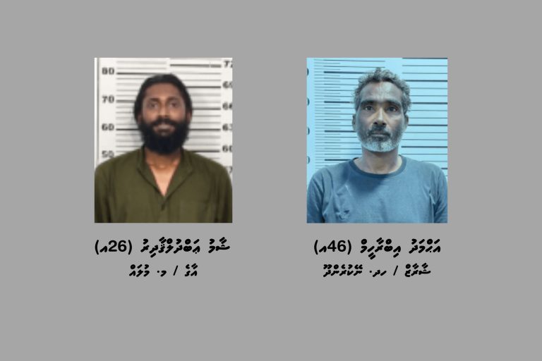 މަސްތުވާތަކެތީގެ މައްސަލަތަކެއްގައި ދެ މީހަކު ހައްޔަރުކޮށްފި