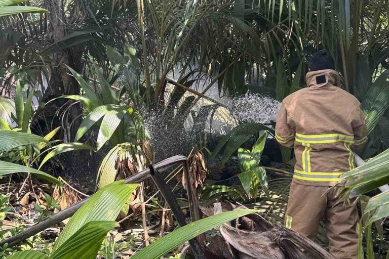 ހުޅުދޫ ފަޅު ގޯއްޗެއްގައި ހުރި ވިނަތަކެއްގައި އަލިފާން ރޯވެގެން ސިފައިން ހަރަކާތްތެރިވެއްޖެ