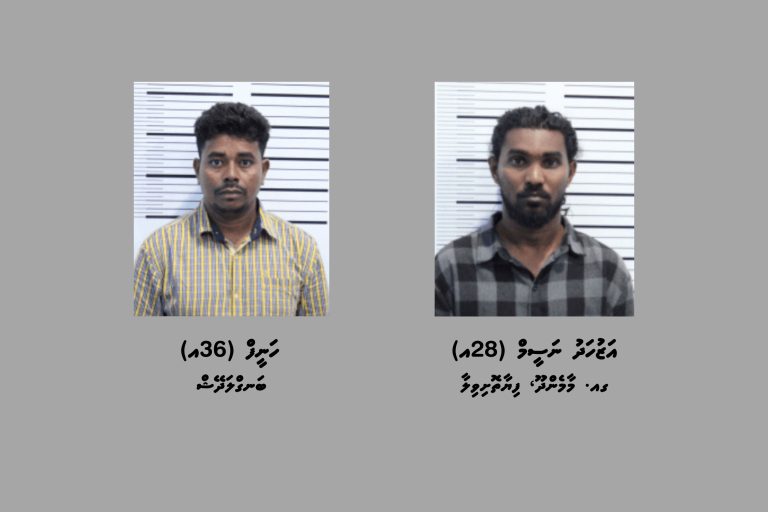 ތިން ކިލޯއަށްވުރެ ގިނަ މަސްތުވާތަކެތި ހޯދައި ދެ މީހަކު ހައްޔަރުކޮށްފި