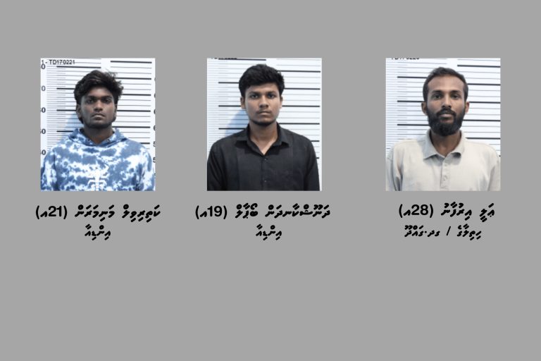 ހަ ކިލޯ އަށްވުރެ ގިނަ މަސްތުވާތަކެތި ރާއްޖެ އެތެރެކުރި ތިން މީހަކު ހައްޔަރުކޮށްފި