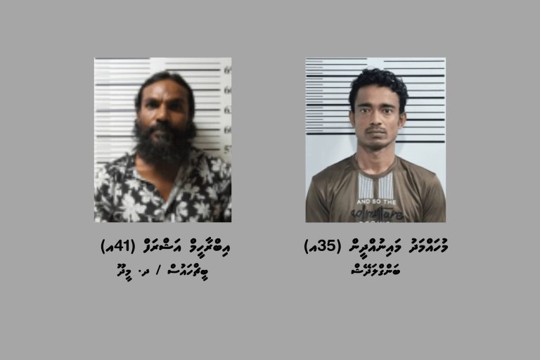 ދެ ރަށަކަށް މަސްތުވާތަކެތި އެތެރެކުރަން އުޅުނުކަމުގެ ތުހުމަތުގައި ދެ މީހަކު ހައްޔަރުކޮށްފި