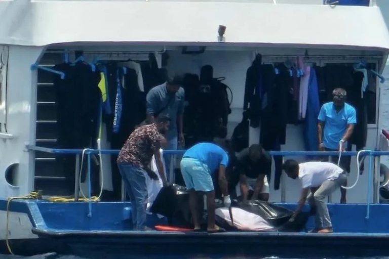 ލޯންޗެއްގެ ބުރަފަތީގައި ޖެހި ފަތުރުވެރިއަކު ނިޔާވެއްޖެ