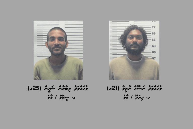 މަސްތުވާތަކެއްޗާއެކު މަގޫދޫއިން ދެމީހަކު ހައްޔަރުކޮށްފި
