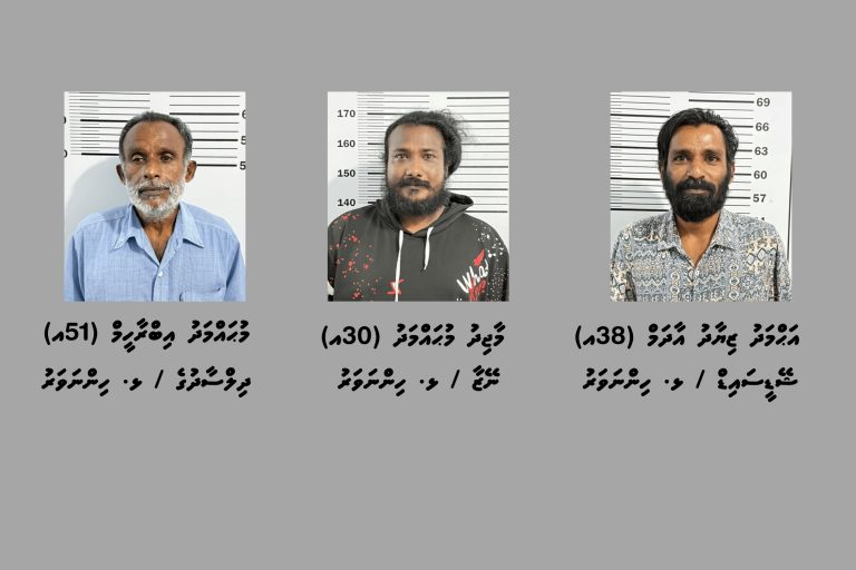 މަސްތުވާތަކެތީގެ ވިޔަފާރިކުރާ ކަމުގެ ތުހުމަތުގައި ހިންނަވަރުން ތިންމީހުން ހައްޔަރުކޮށްފި