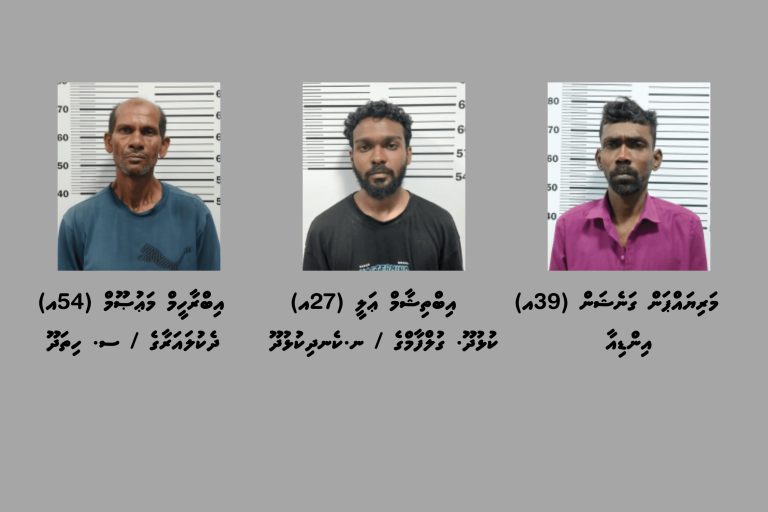 މަސްތުވާތަކެތީގެ މައްސަލަތަކެއްގައި ހުޅުމާލެއިން ތިންމީހުން ހައްޔަރުކޮށްފި