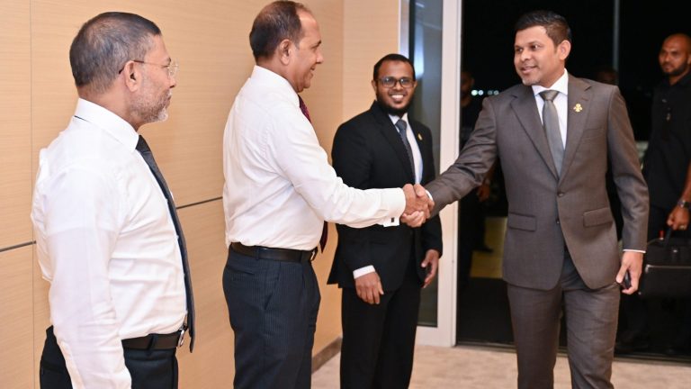 ނައިބު ރައީސް ޖަރުމަނުވިލާތަށް ފުރާވަޑައިގެންފި