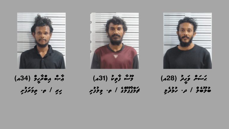 މަސްތުވާތަކެއްޗާއެކު ވިލުފުށިން ތިން މީހުން ހައްޔަރުކޮށްފި
