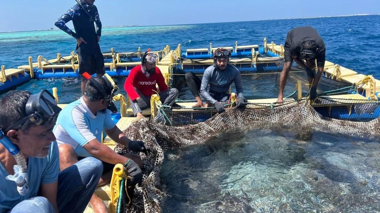 މެރިން ހެޗަރީ ސްކިލްސް ޑިވެލޮޕްމަންޓް ޕްރޮގްރާމްގެ ދެ ވަނަ ބުރުގައި ބައިވެރިވުމަށް ހުޅުވާލައިފި