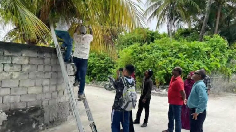 ރުއްތަކަށް ޖެހޭ ހުދުކޫޑި ކޮންޓްރޯލްކުރަން ކައުންސިލްތަކަށް ބޭސް ބަހަން ފަށައިފި