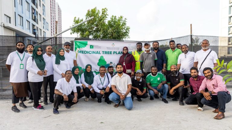 ހިޔާ ޕާކު ސަރަހައްދުގައި ދިވެހި ބޭސްވެރިކަމާ ގުޅޭ ގަސްތަކެއް އިންދައިފި