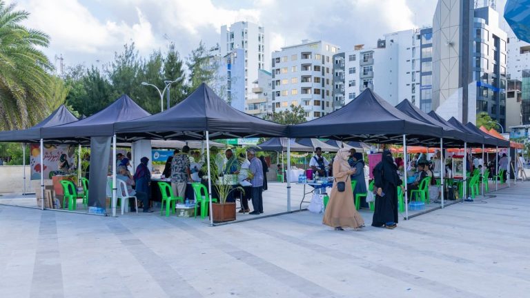 އިސްލާމީ ކުތުބުޚާނާ ދުވަސް ފާހަގަކުރުމަށް ޚާއްޞަ ހަރަކާތްތަކެއް