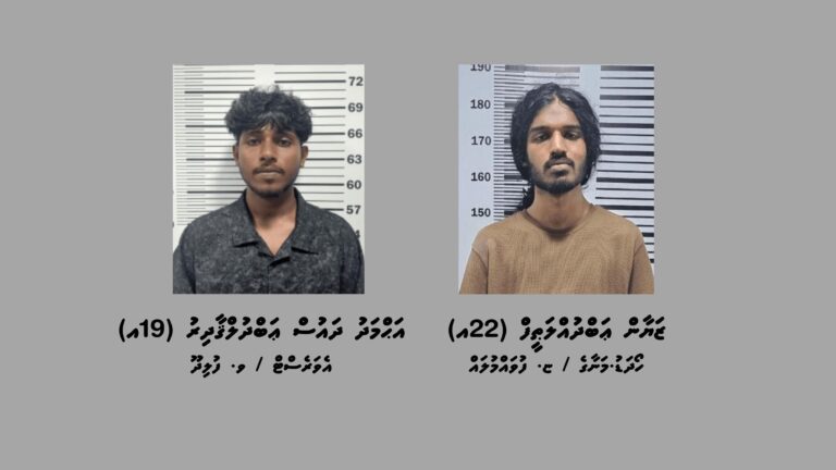 މަސްތުވާތަކެތީގެ މައްސަލަތަކެއްގައި މާލެއިން ދެ މީހަކު ހައްޔަރުކޮށްފި
