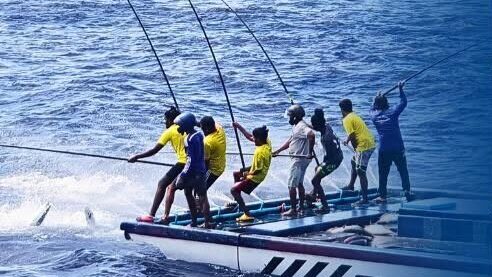 މަސްވެރިކަމުގެ ގާނޫނަށް ސަރުކާރުން ހުށަހެޅި އިސްލާހުތައް މަޖިލީހުން ފާސްކޮށްފި