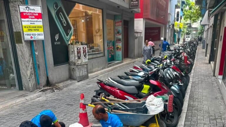 ޕާކިން މައްސަލައަށް ހައްލެއް ހޯދަން މާލެއިން އަމިއްލަ ބިން ގަތުމުގެ ޕްލޭނެއް ފާސްކޮށްފި