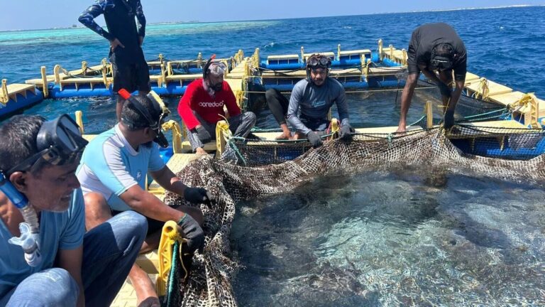 މި އަހަރުގެ 2 ވަނަ މެރިން ހެޗަރީ ސްކިލްސް ޑިވެލޮޕްމަންޓް ޕްރޮގްރާމް ފަށައިފި