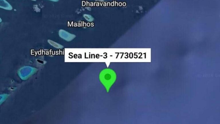 ދޯޏެއް ދިޔަވެ، ސަލާމަތްވާން މުދާތަކެއް ކަނޑަށް އުކާލައިފި
