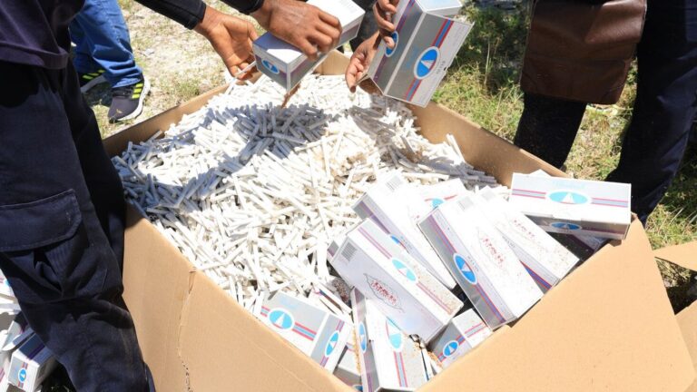 މާލެ ގެއެއްގައި އުފެއްދި 4،000 އަށްވުރެ ގިނަ ސިނގިރޭޓް ކާޓޫން ނައްތާލައިފި