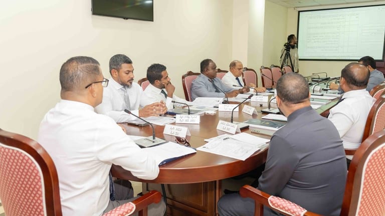 ގަރާރަށް ބަހުސްކުރުމުގެ ކުރިން ވޯޓަށް އަހާ ގޮތަށް ގަވާއިދަށް ގެންނަ އިސްލާހު ކޮމިޓީން ފާސްކޮށްފި