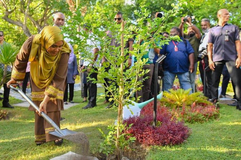 ގަސްގަހާގެހި ހެއްދުމުގައި ޞިއްޙީ ގޮތުން ރައްކާތެރި ހަމަތައް ހިފެހެއްޓުމަށް މެޑަމް ސާޖިދާ އިލްތިމާސްކުރައްވައިފި