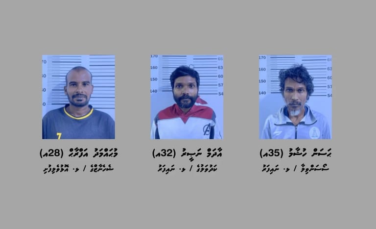 މަސްތުވާތަކެތީގެ ދެ އޮޕަރޭޝަނެއްގައި ޅ. އަތޮޅުން ތިން މީހަކު ހައްޔަރުކޮށްފި