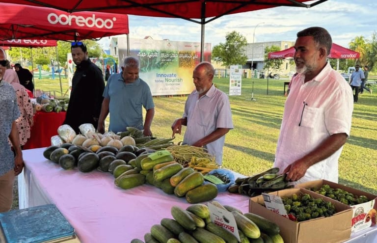 މީދޫގައި ދަނޑުވެރިންގެ މާރުކޭޓެއް ހުޅުވައިފި